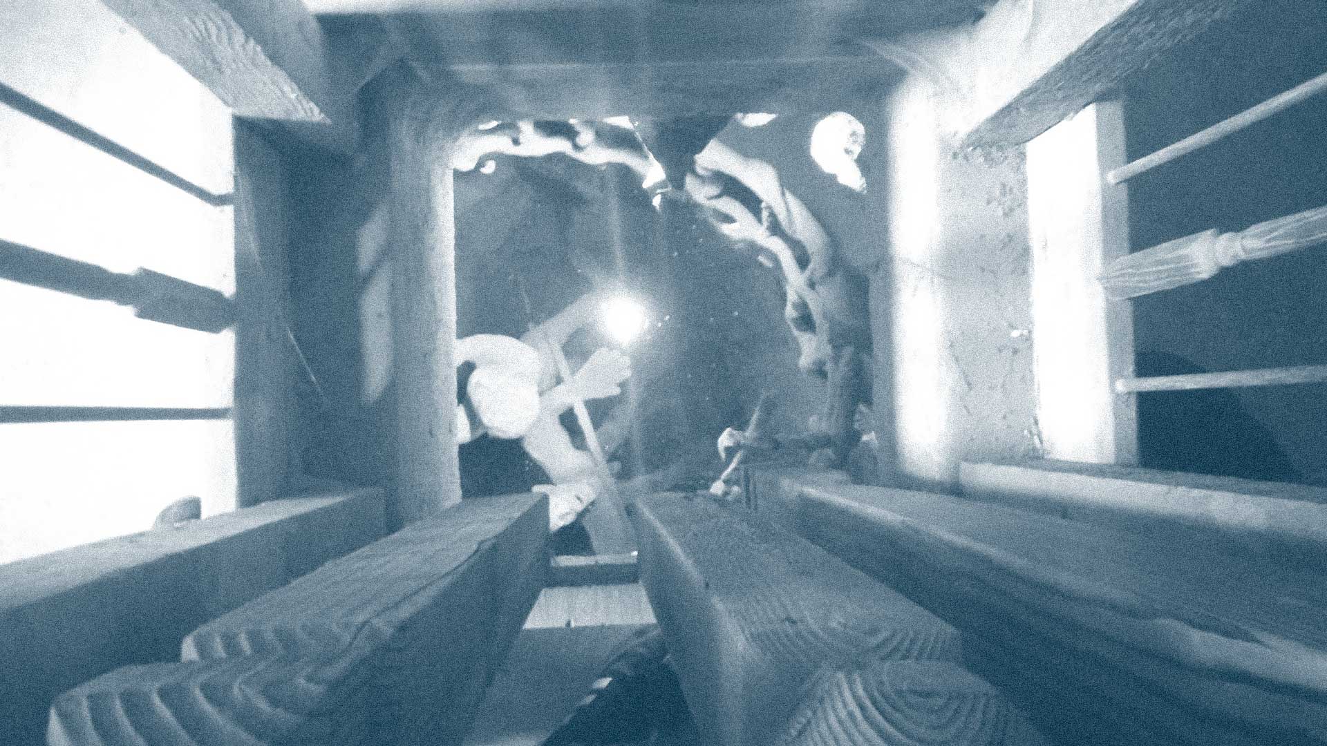 5 5